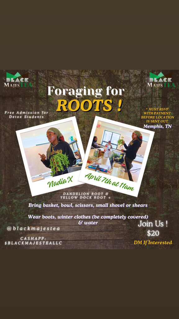 Foraging for Food & Roots w/ BlackMajesTEA SUNDAY Dec 15th 12pm-3pm