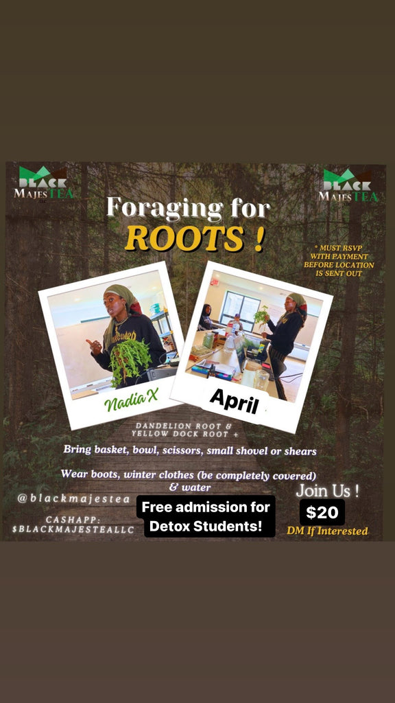 Memphis Foraging for Roots April 7th 11am
